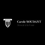 Me SOUDANT, avocat en droit de la famille à Bordeaux Me SOUDANT, avocat en droit de la famille à Bordeaux